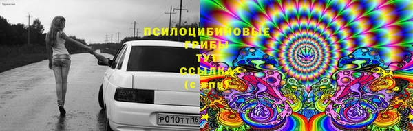 дурь Вязьма